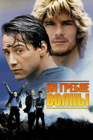 На гребне волны (фильм, 1991)