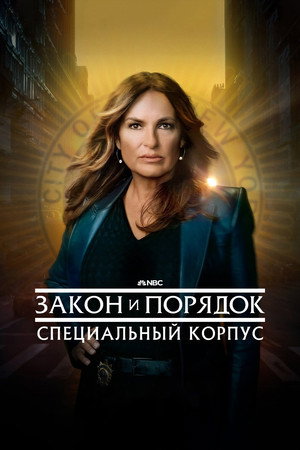 Закон и порядок. Специальный корпус (сериал, 1999)