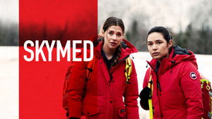 Летучие медики (сериал, 2022)